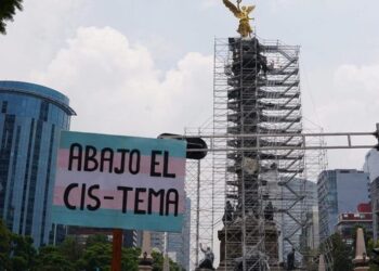 Las infancias y adolescencias también pueden ser travesti-trans