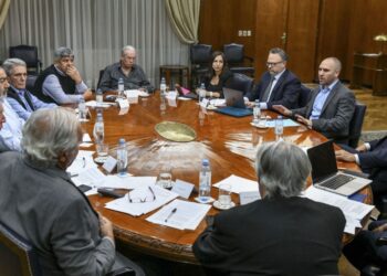 Descomprimir tensiones. El Gobierno adelanta tramos del Salario Mínimo