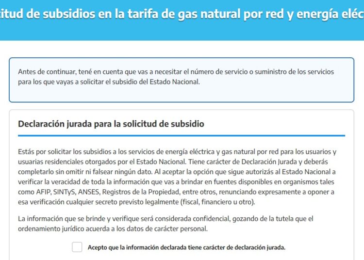 ¿Estado estúpido? Apuntes sobre la segmentación tarifaria