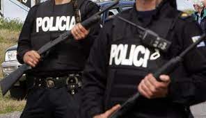 Proyecto de desarme a agentes denunciados por violencia de género