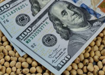 Prioridades del gobierno del Frente de Ellos