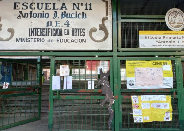 Preocupación por plaga de ratas en escuelas porteñas