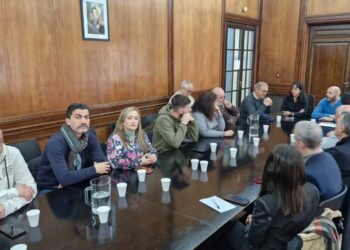 Paritaria estatal. Suba del 6,6% bimestral más bono, visto bueno de UPCN y rechazo de ATE