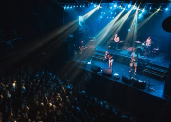 Foto: @bichosdeciudadsanluis