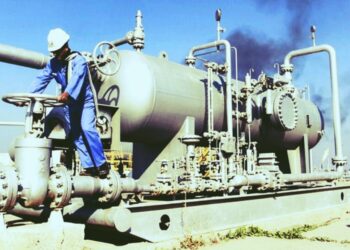 Foro Economía y Trabajo. Gas natural y energía eléctrica, libertad para ir a la ruina