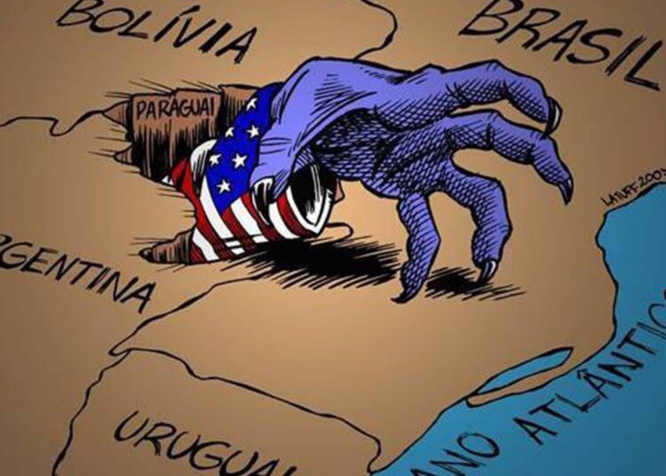 Un jardín en el patio trasero