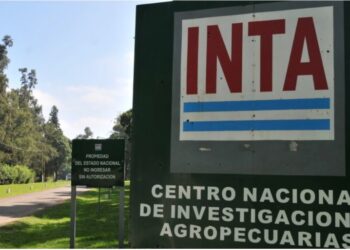 INTA: el pedido a los gobernadores, el botín que se quiere quedar el Gobierno y la estrategia judicial