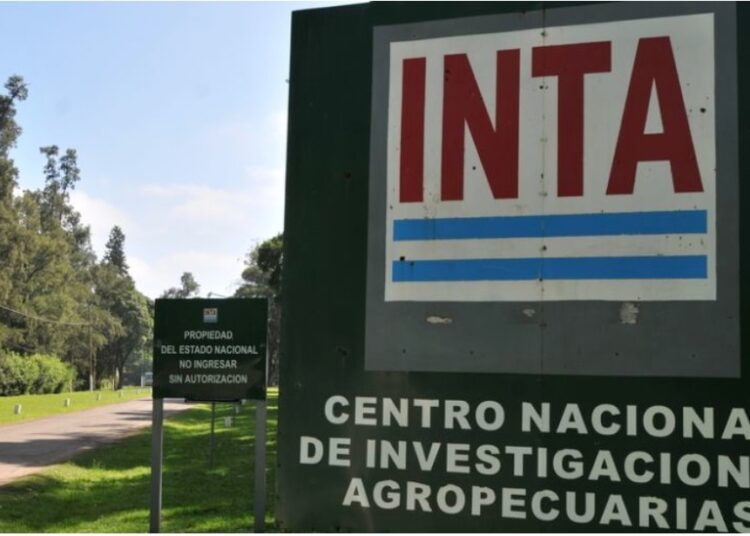 INTA: el pedido a los gobernadores, el botín que se quiere quedar el Gobierno y la estrategia judicial
