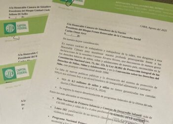 ATE Capital repudió expresiones de la senadora Rivero y reclamó sostener políticas para infancias