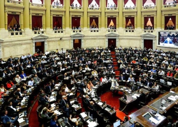 El Congreso tratará el miércoles vetos a universidades y Garrahan, se espera una movilización masiva