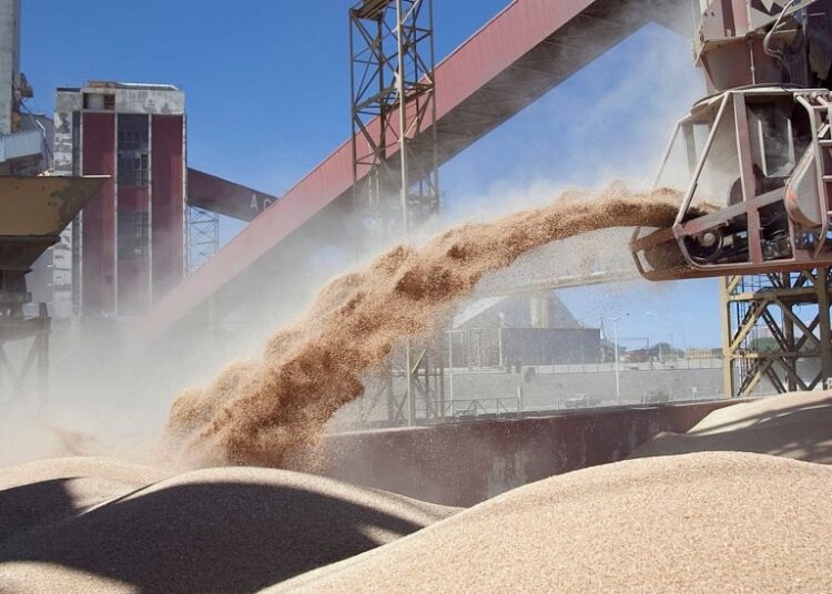 Eliminación de retenciones al agro: “Una medida a favor de las multinacionales”