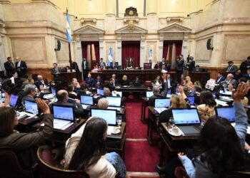 Más derrotas para el Gobierno: Senado rechazó vetos al financiamiento de universidades y Garrahan
