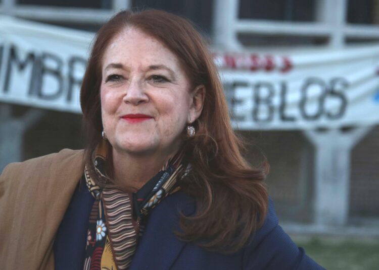 Alicia Castro: “Es la entrega completa y total de nuestra soberanía”