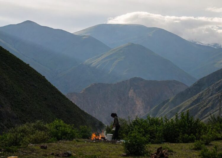 Ley de Tierras: “La extranjerización avanza sobre territorios estratégicos de la Argentina”