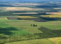 Ley de Tierras: “Promueve aún más la concentración y pone en riesgo los bienes comunes”