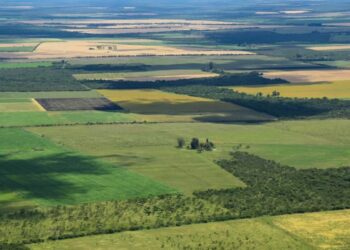 Ley de Tierras: “Promueve aún más la concentración y pone en riesgo los bienes comunes”