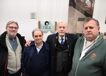 La CEA acompañó la denuncia al gobierno de Milei ante CIDH