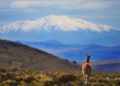 La Corte Suprema le puso cartel de venta a toda la tierra argentina