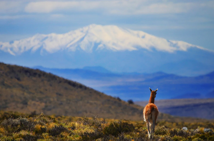 La Corte Suprema le puso cartel de venta a toda la tierra argentina